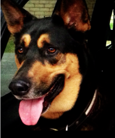 Max